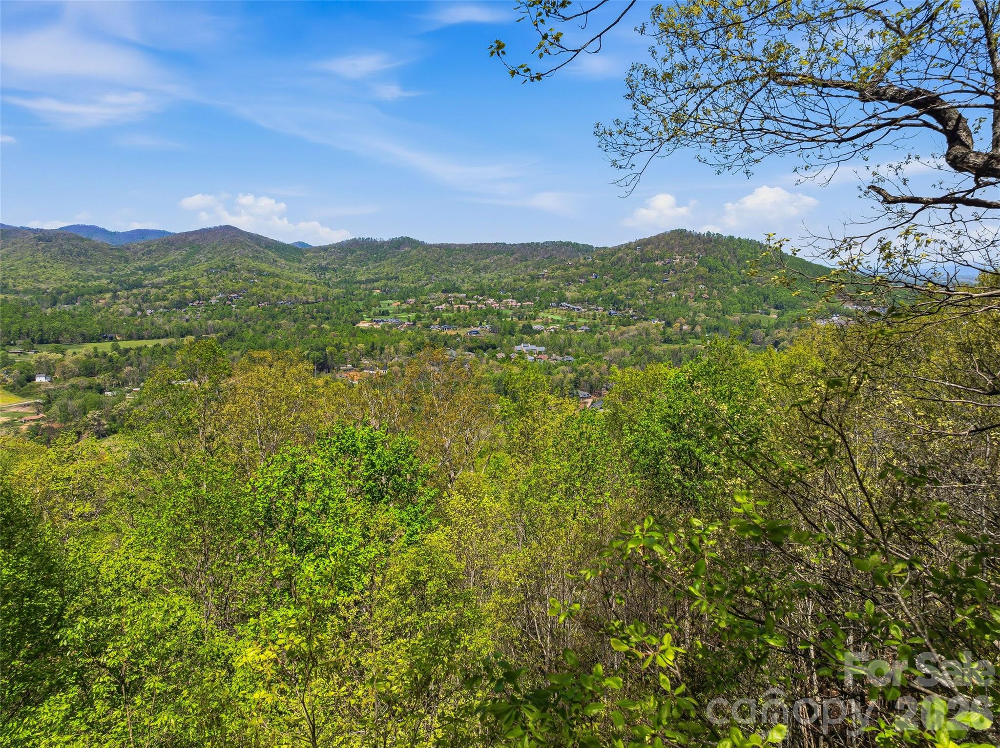 The Cliffs at Walnut Cove - Land