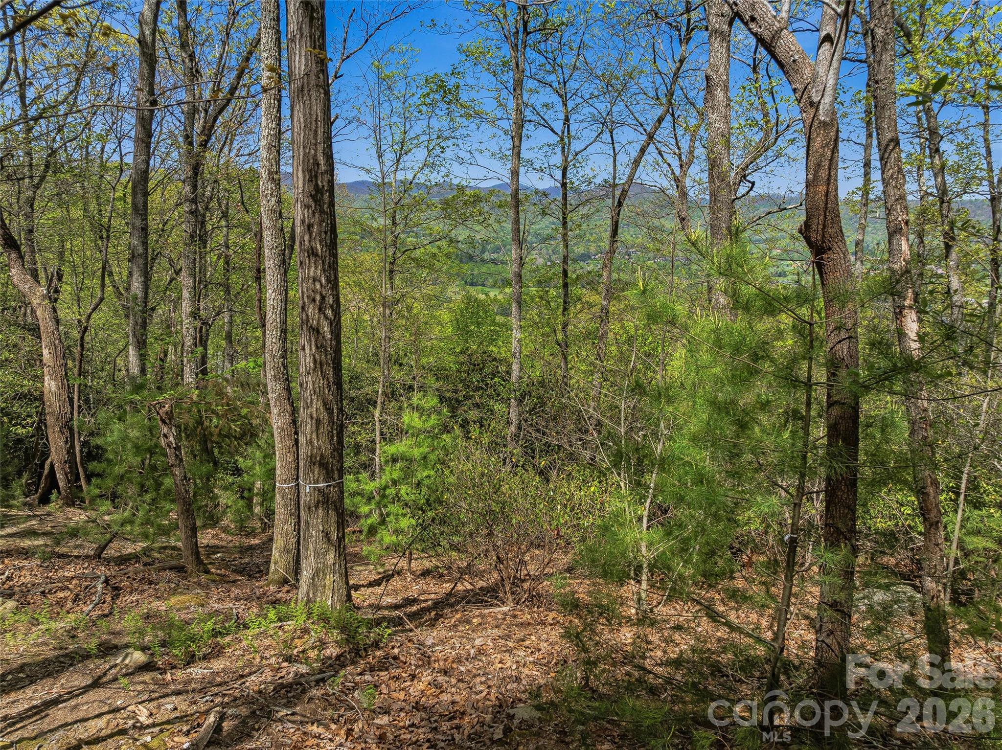 The Cliffs at Walnut Cove - Land