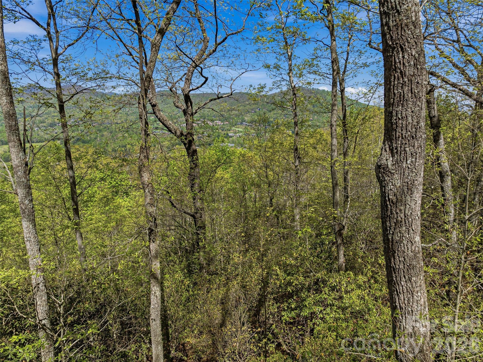 The Cliffs at Walnut Cove - Land