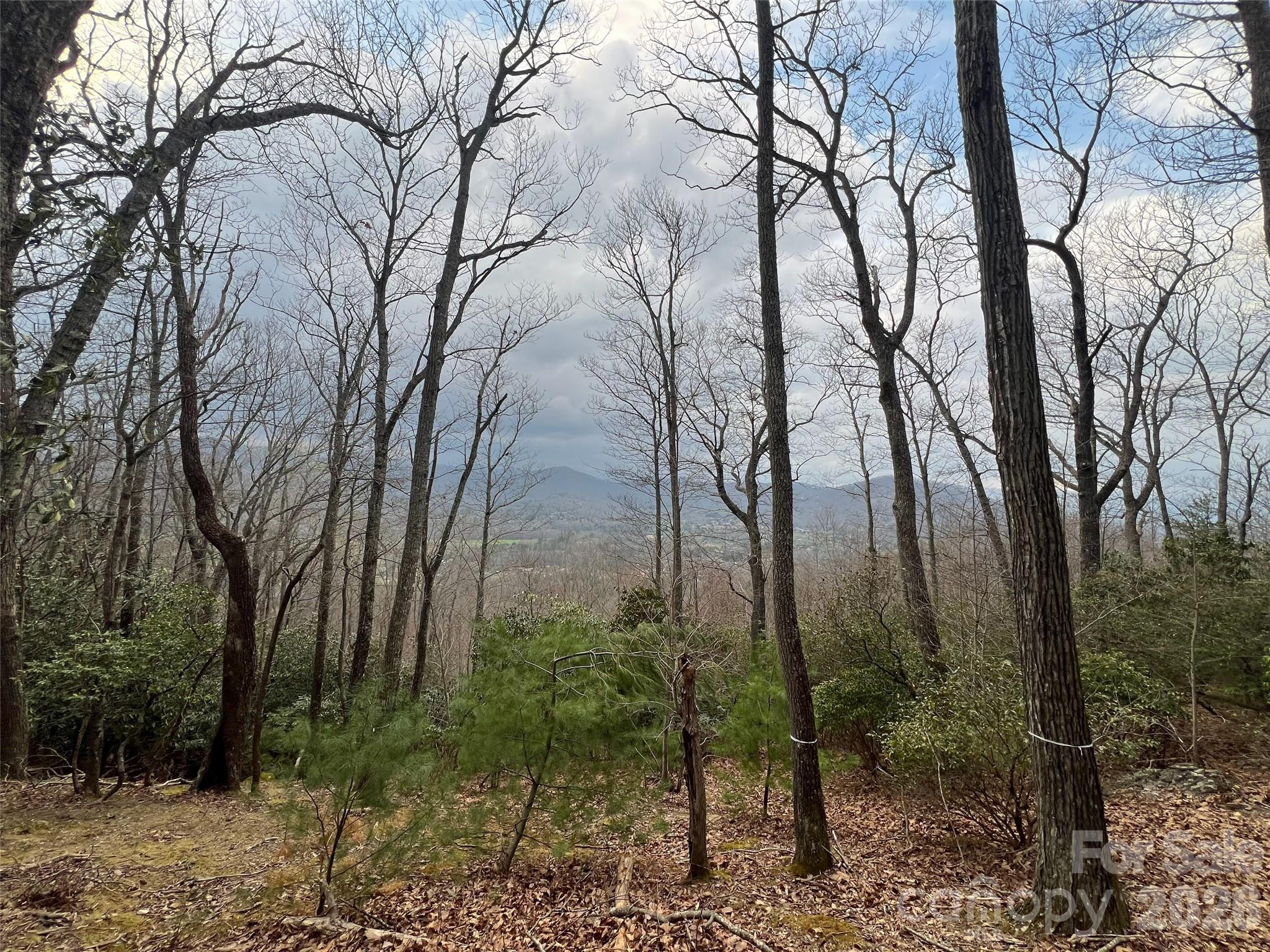 The Cliffs at Walnut Cove - Land