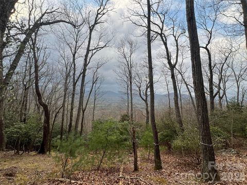 27 Deer Grass Court Arden NC 28704