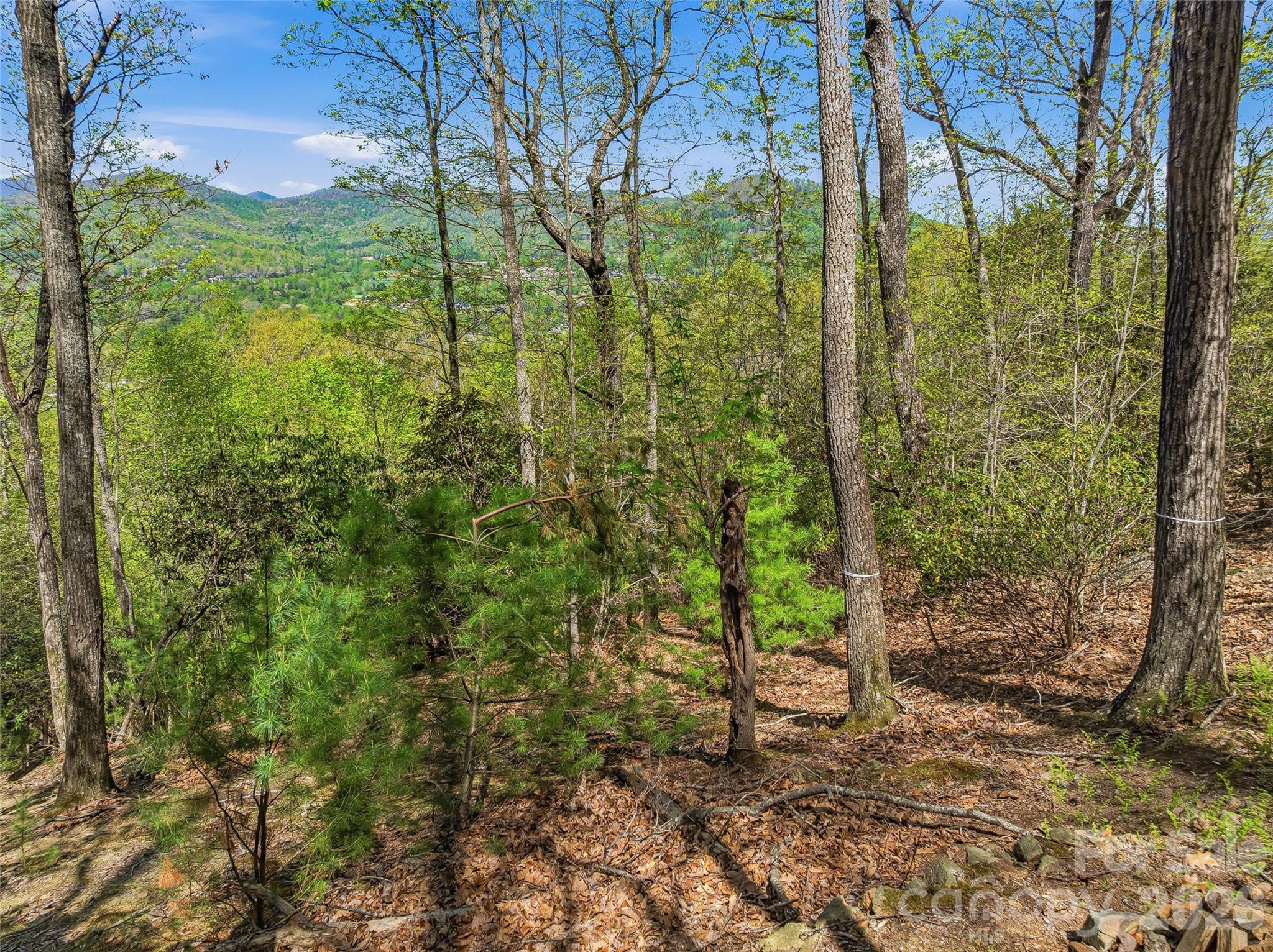 The Cliffs at Walnut Cove - Land