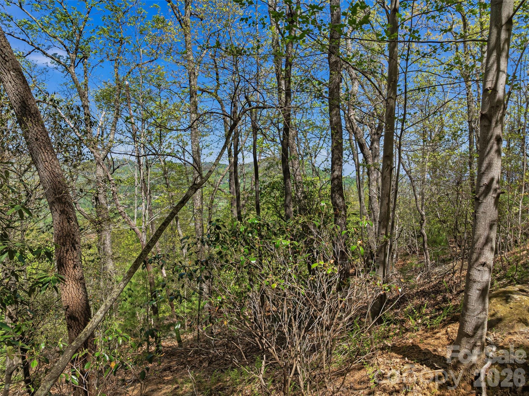 The Cliffs at Walnut Cove - Land