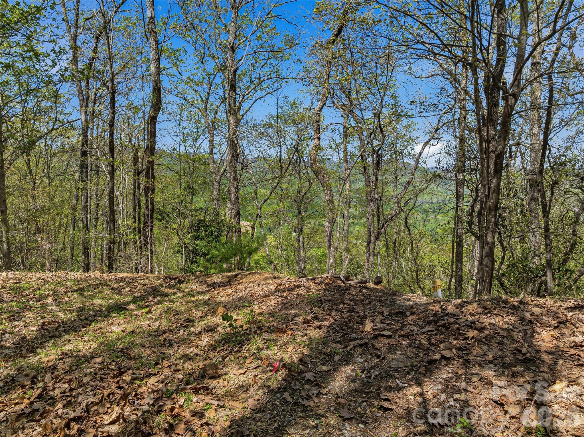 The Cliffs at Walnut Cove - Land