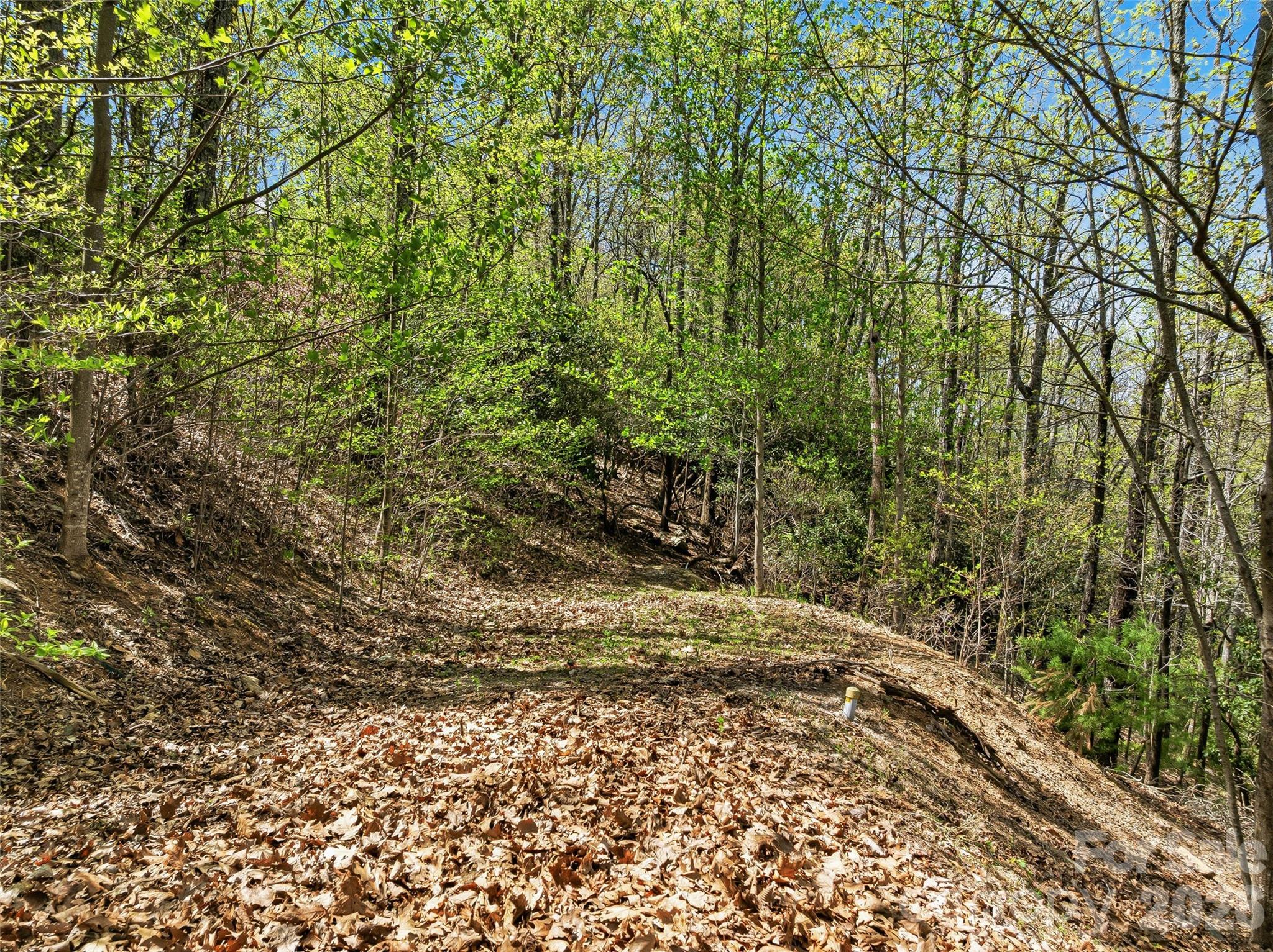The Cliffs at Walnut Cove - Land