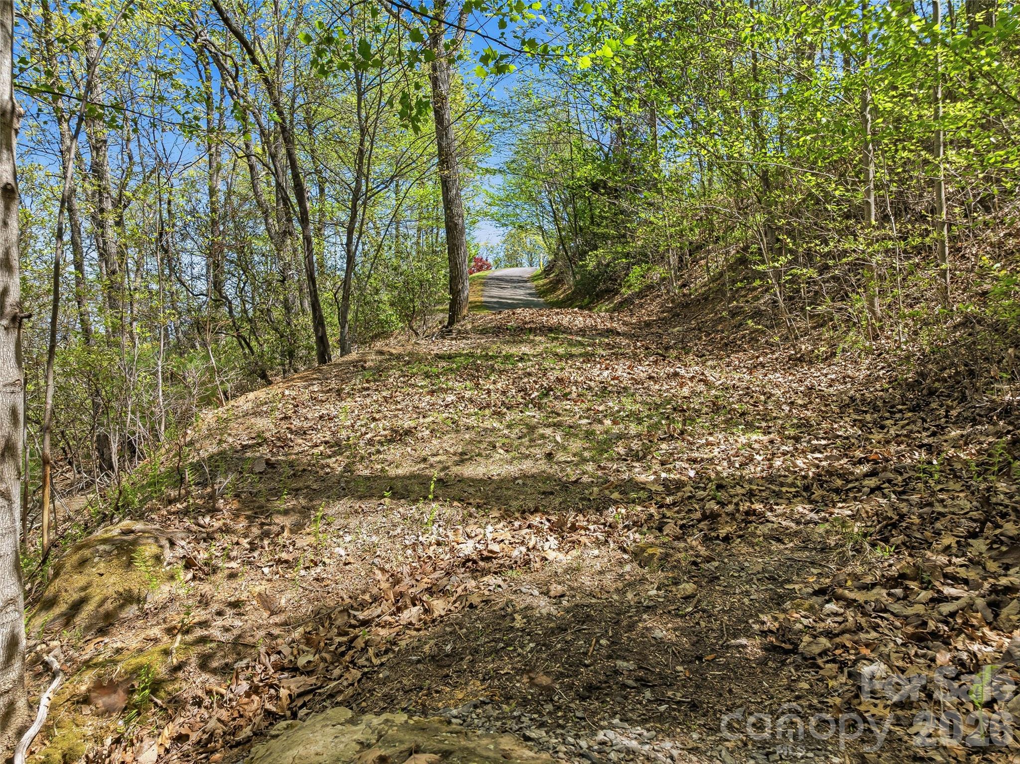 The Cliffs at Walnut Cove - Land