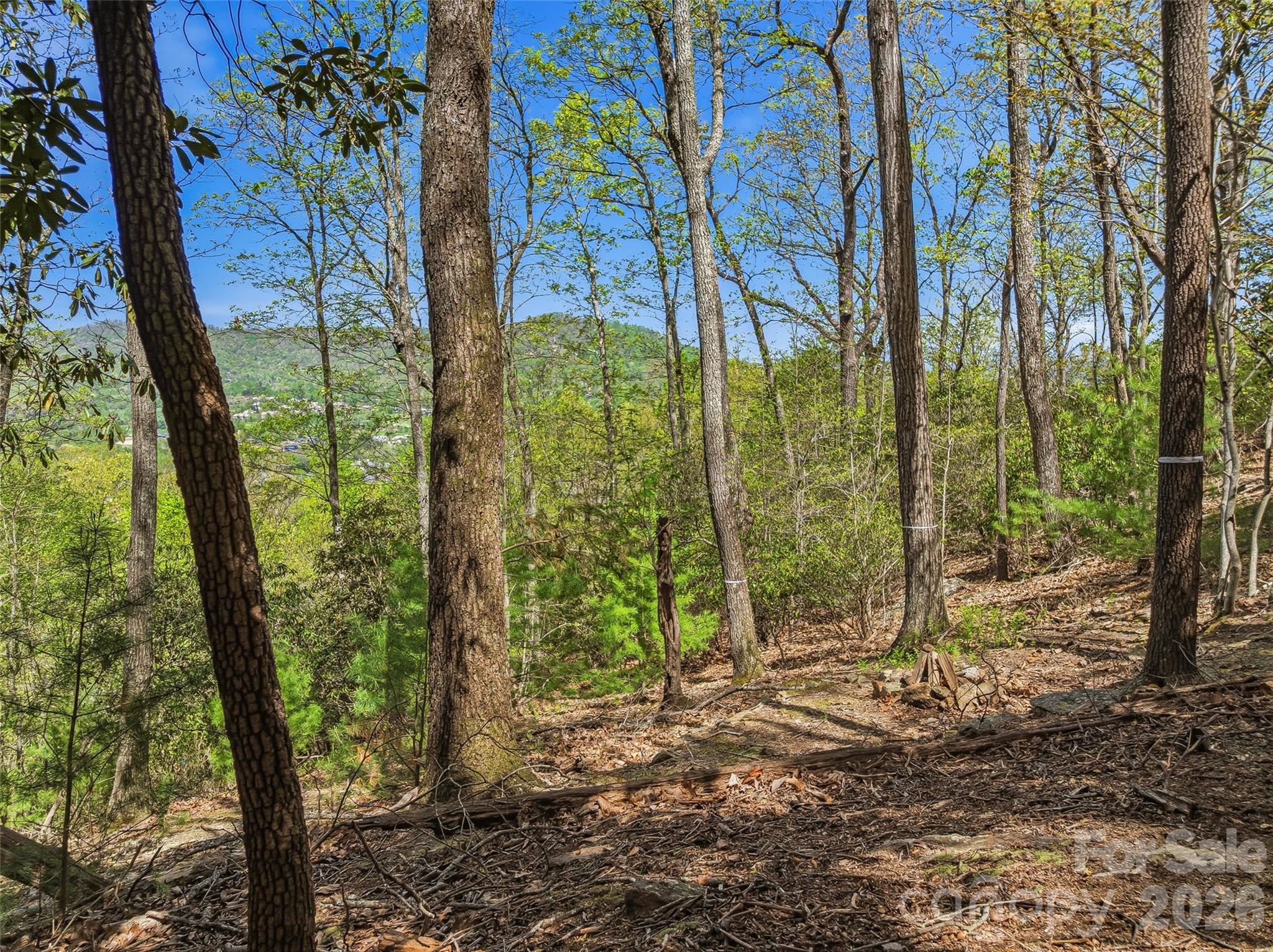The Cliffs at Walnut Cove - Land