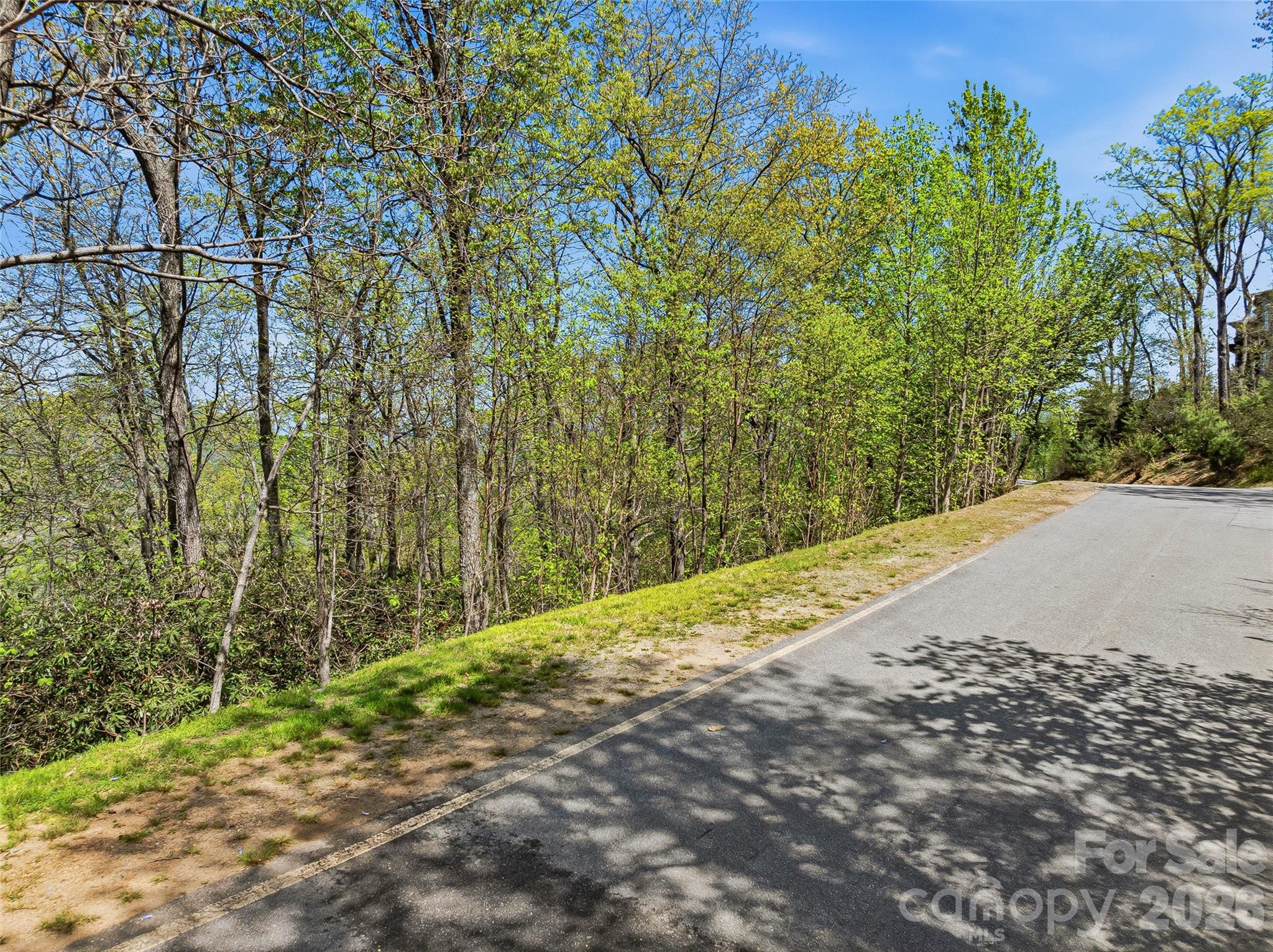 The Cliffs at Walnut Cove - Land