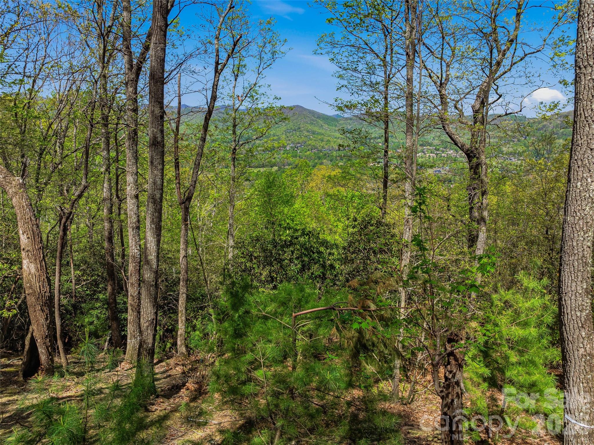 The Cliffs at Walnut Cove - Land