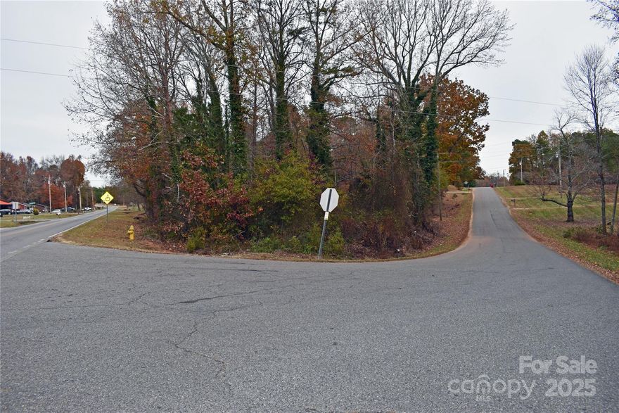 Nice lot on the corner of Horseshoe Lake Road, and Springdale Park Dr.