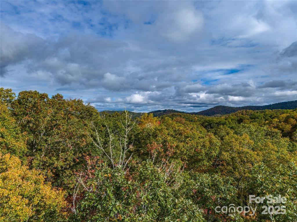 99999 Caddis Lane Lot 91