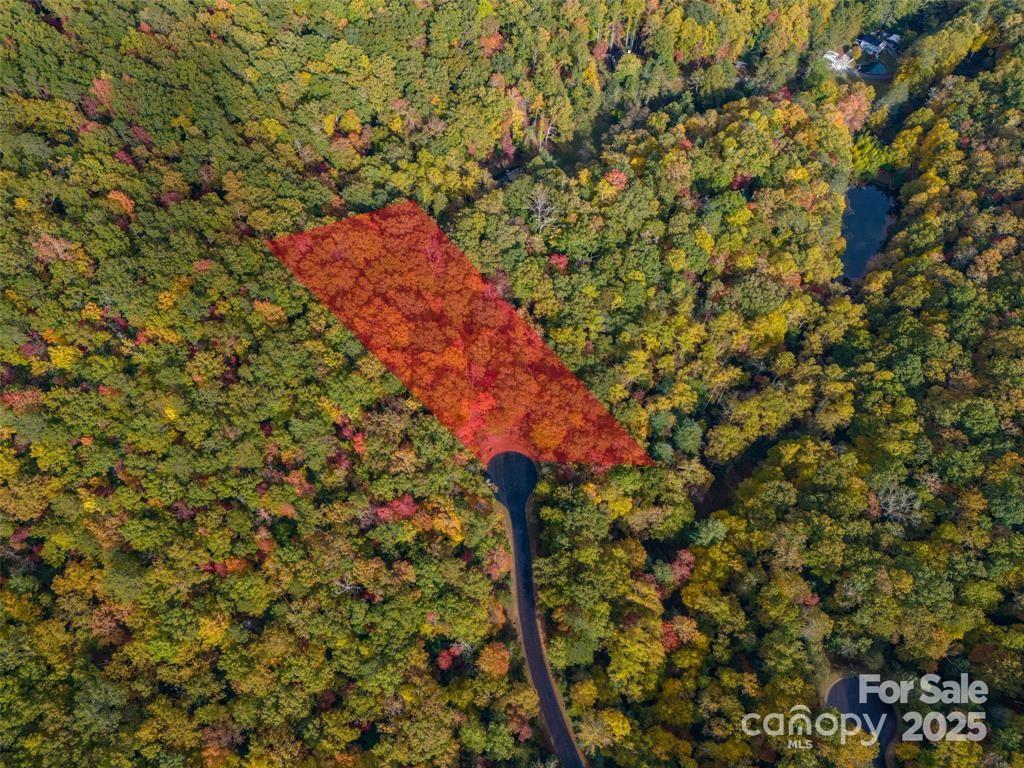 99999 Caddis Lane Lot 91