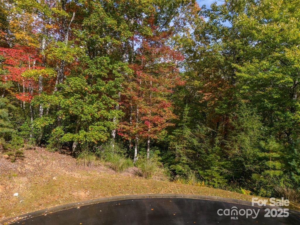 99999 Caddis Lane Lot 91