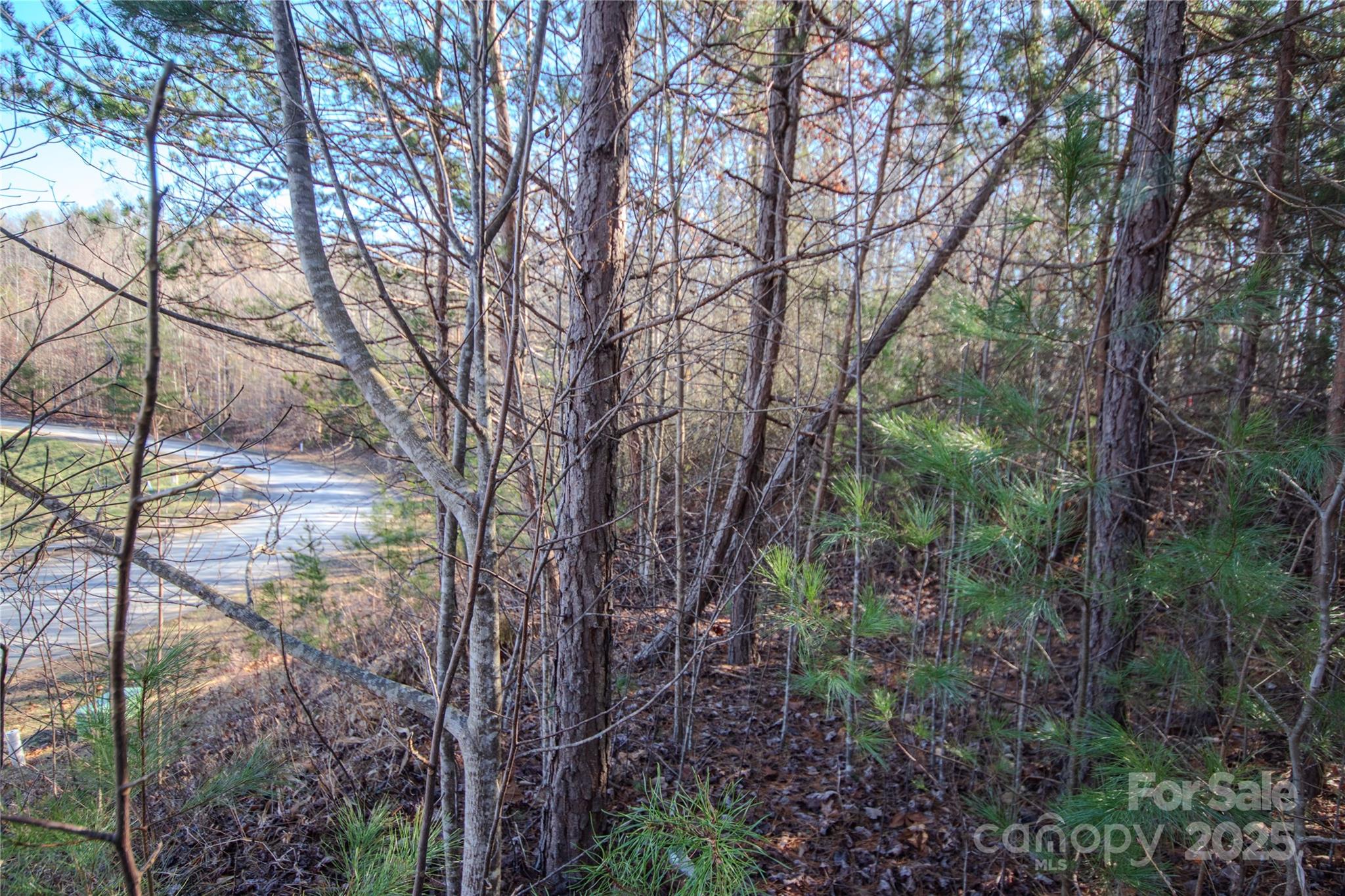 Lot# 82 Huntington Woods Street SE 82