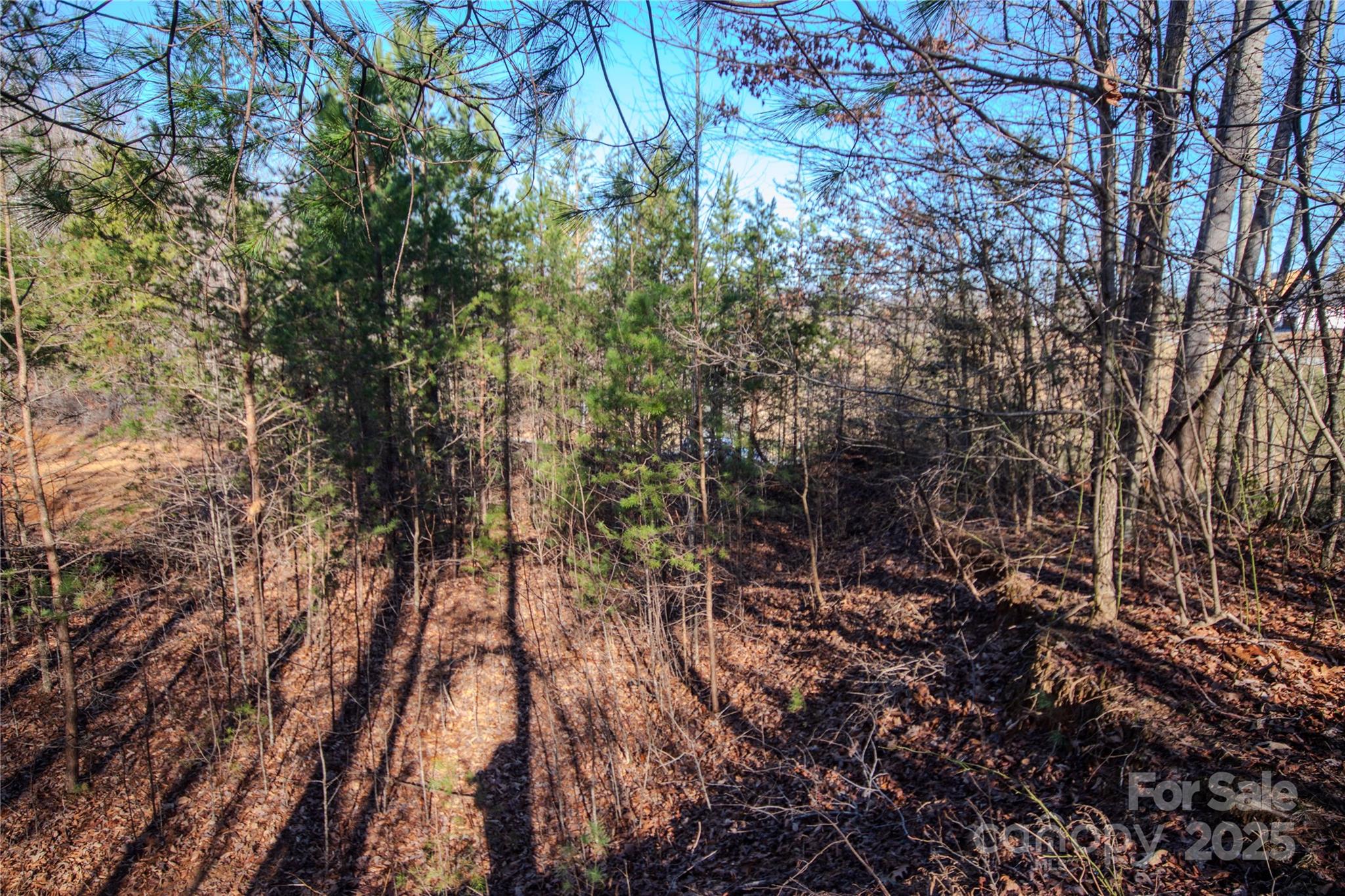 Huntington Woods North - Land