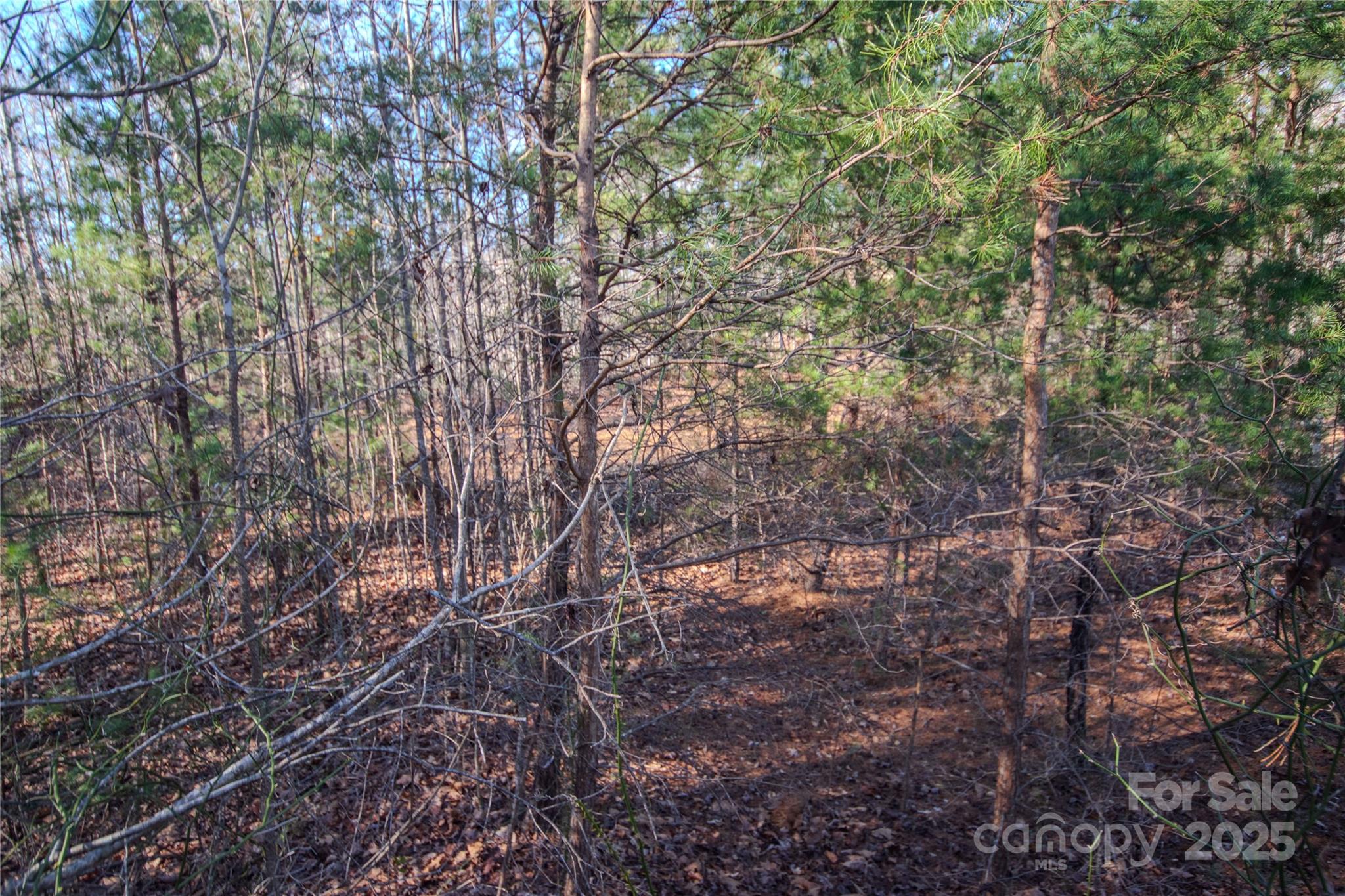 Huntington Woods North - Land