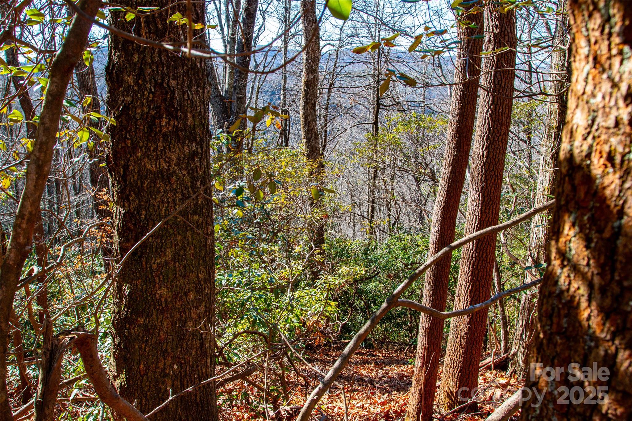 Line Runner Ridge - Land