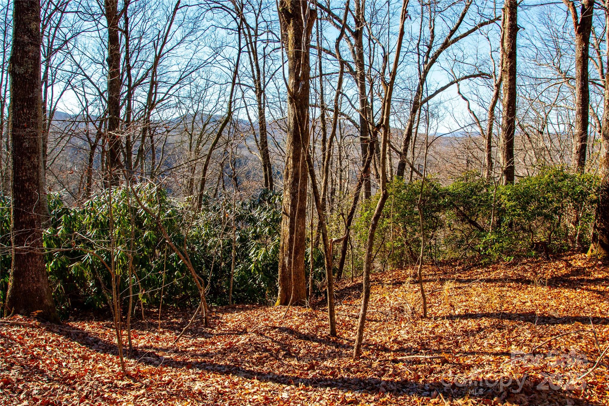 Line Runner Ridge - Land