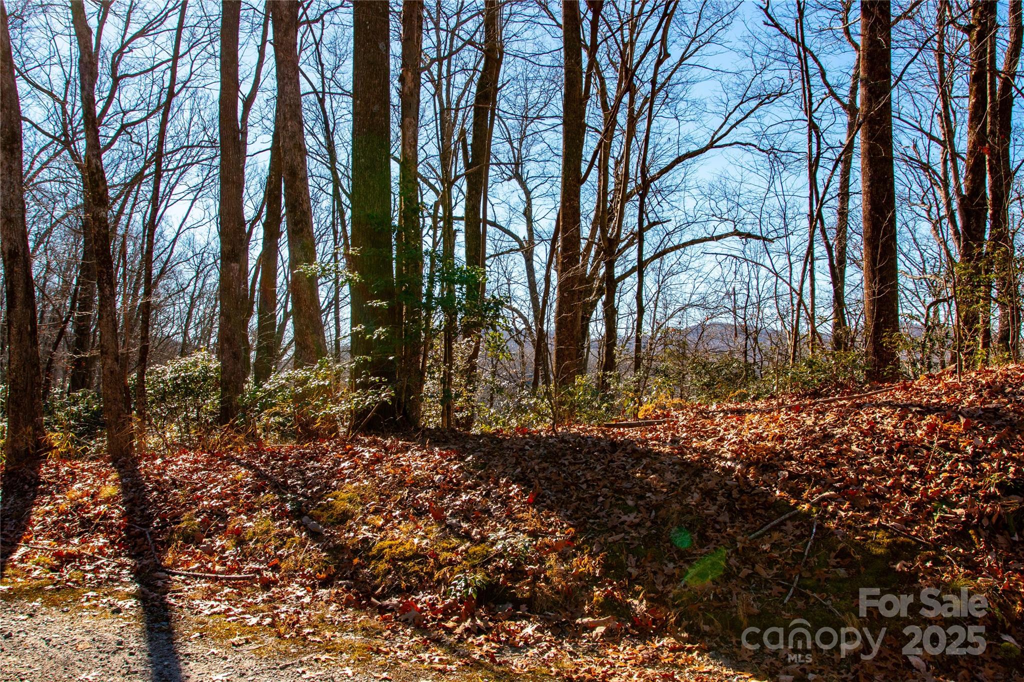 Line Runner Ridge - Land