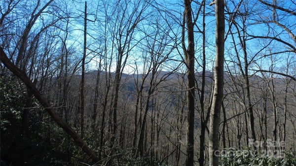 18 JOSHUA VIEW DR, BREVARD, NC 28712 - Image 1e9d76fd7e18c53308f7bb099ad540e8/3972471377