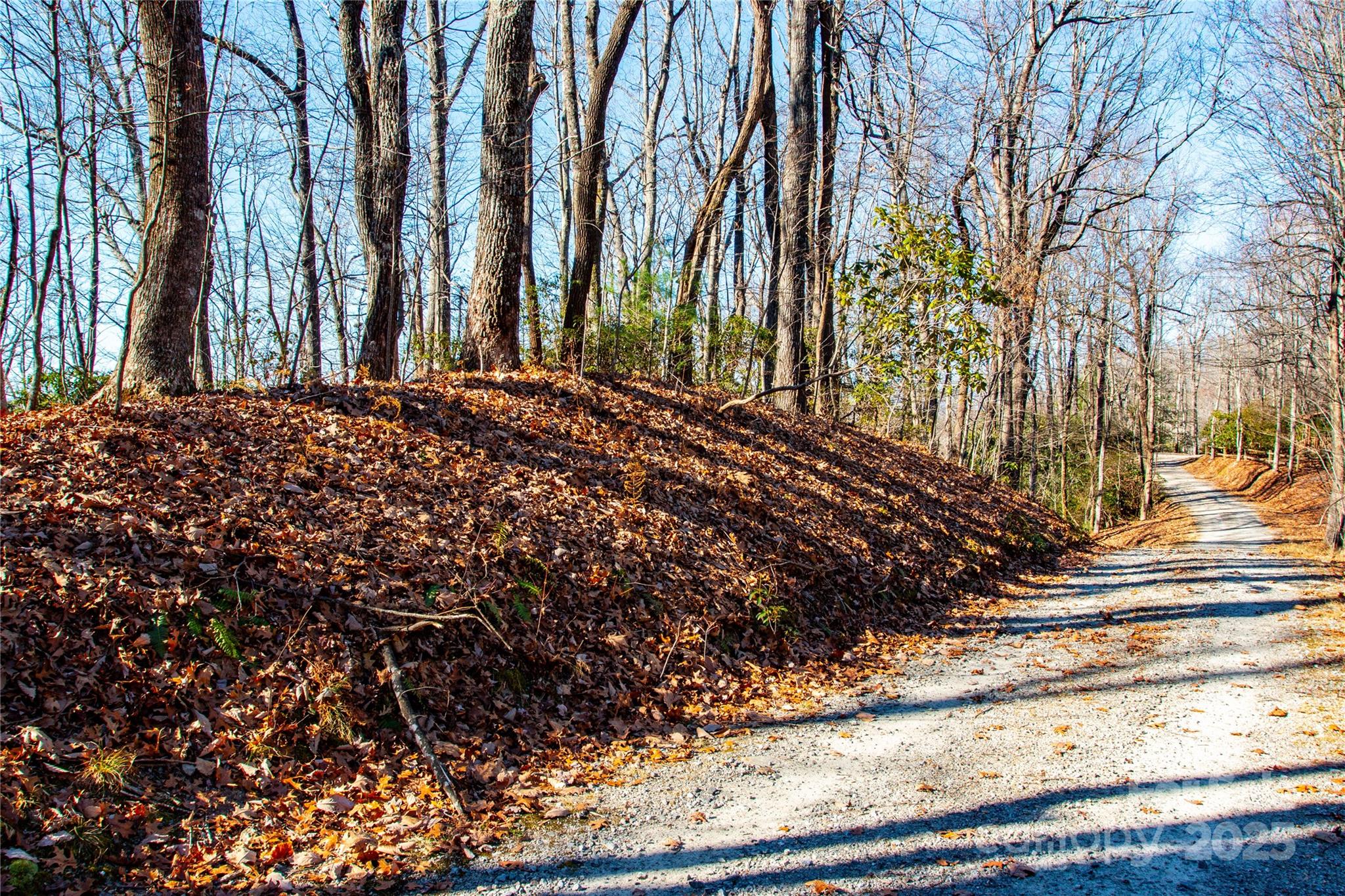 Line Runner Ridge - Land