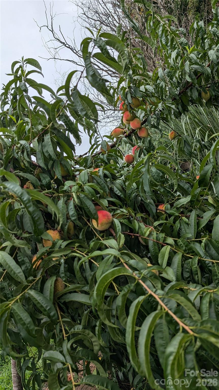 Prescot - Residential