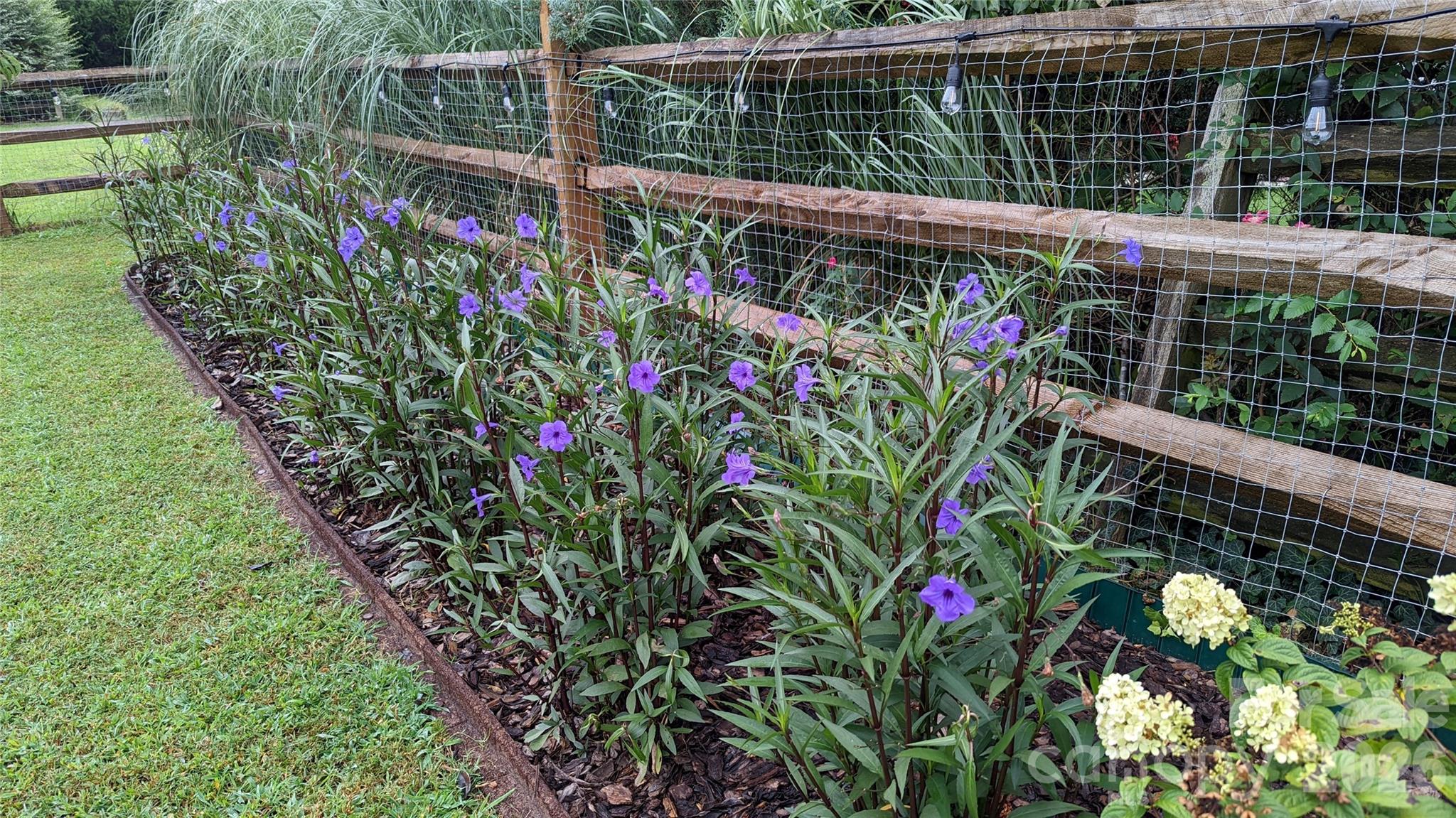 Prescot - Residential