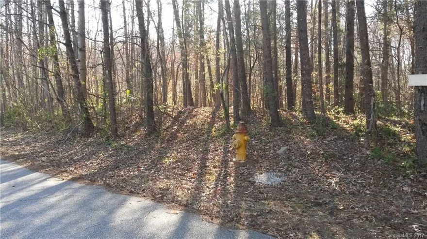Level wooded lot inside Town of Columbus.  Attractive subdivision.  Less than one mile from the town center.  City water and sewer available. One road into subdivision so very little traffic and only a few lots in total.