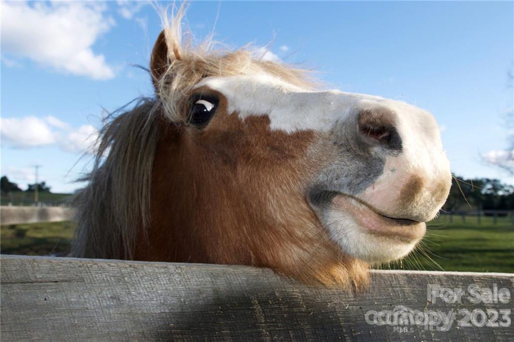 Three Lakes Preserve - Land