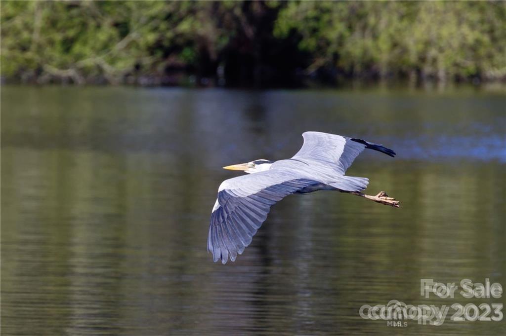 Three Lakes Preserve - Land