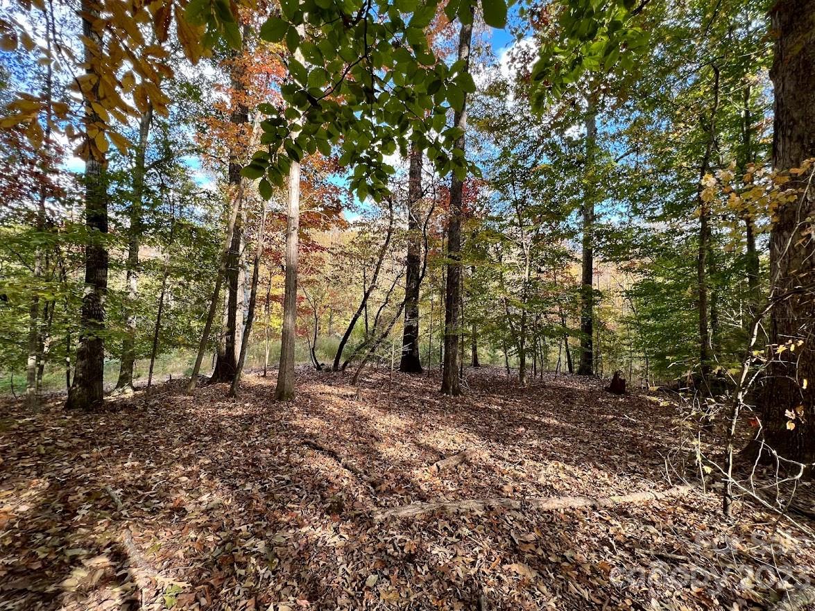 Three Lakes Preserve - Land