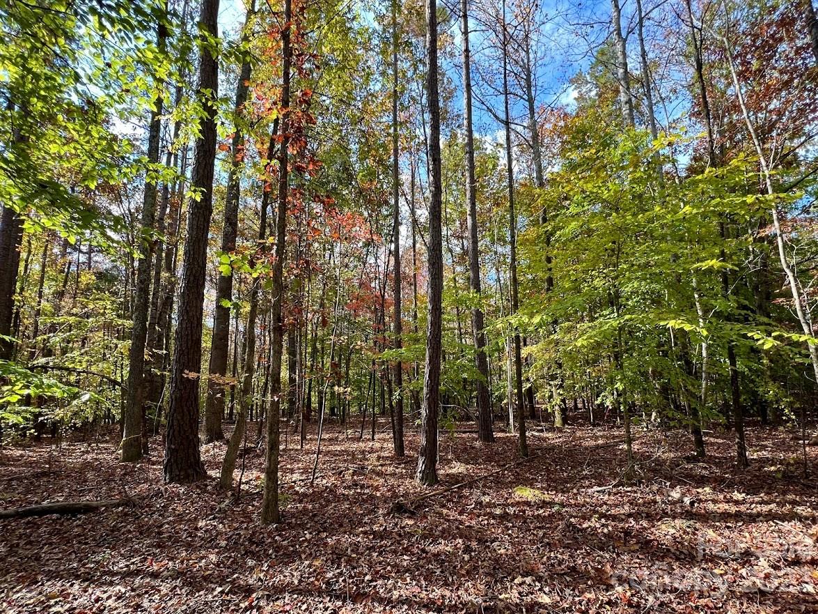 Three Lakes Preserve - Land