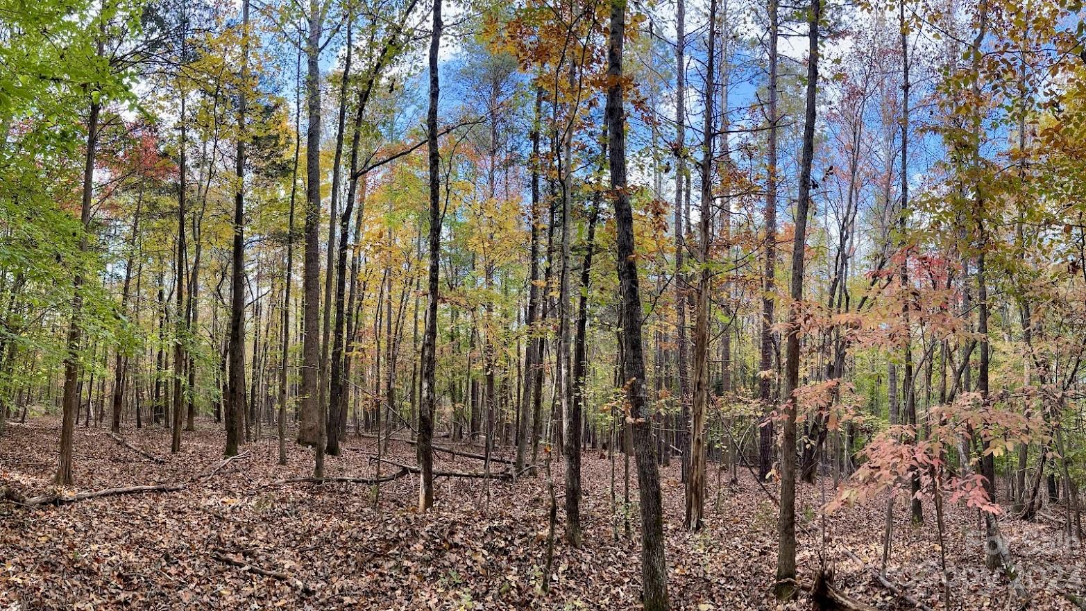 Three Lakes Preserve - Land