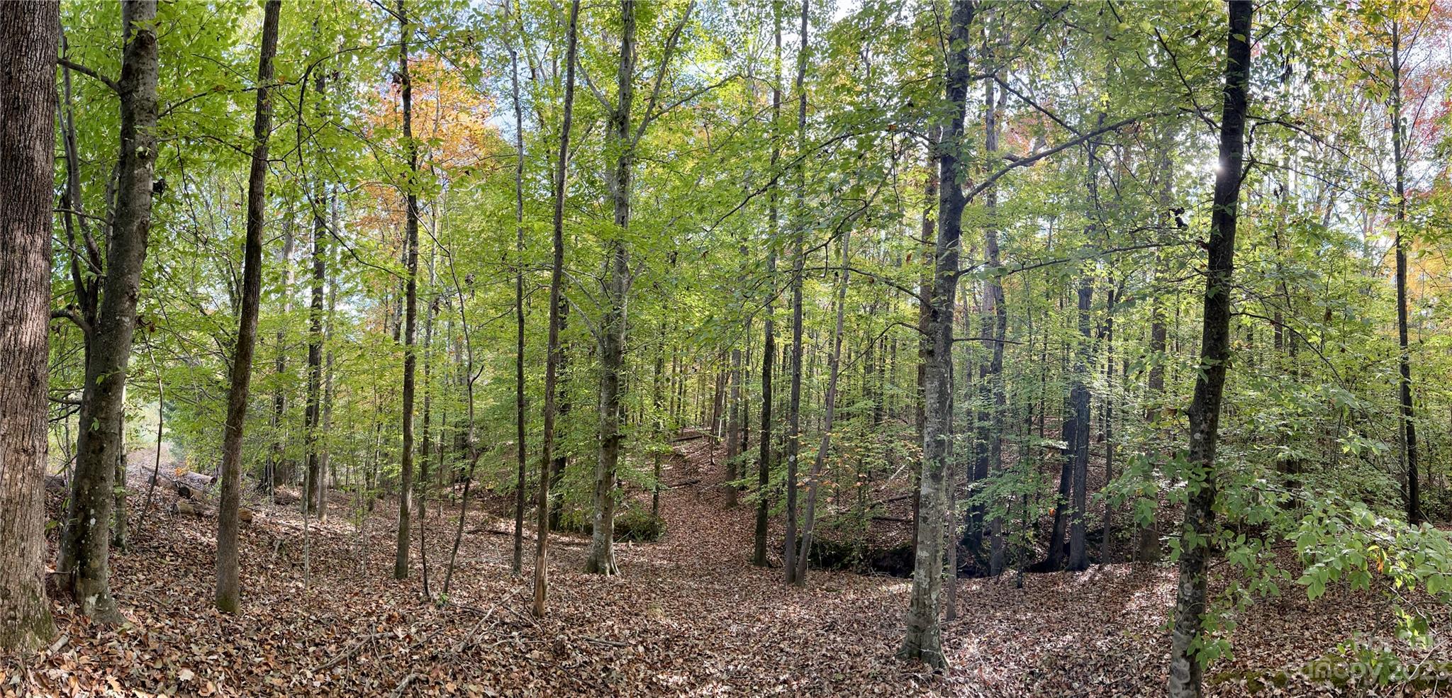 Three Lakes Preserve - Land