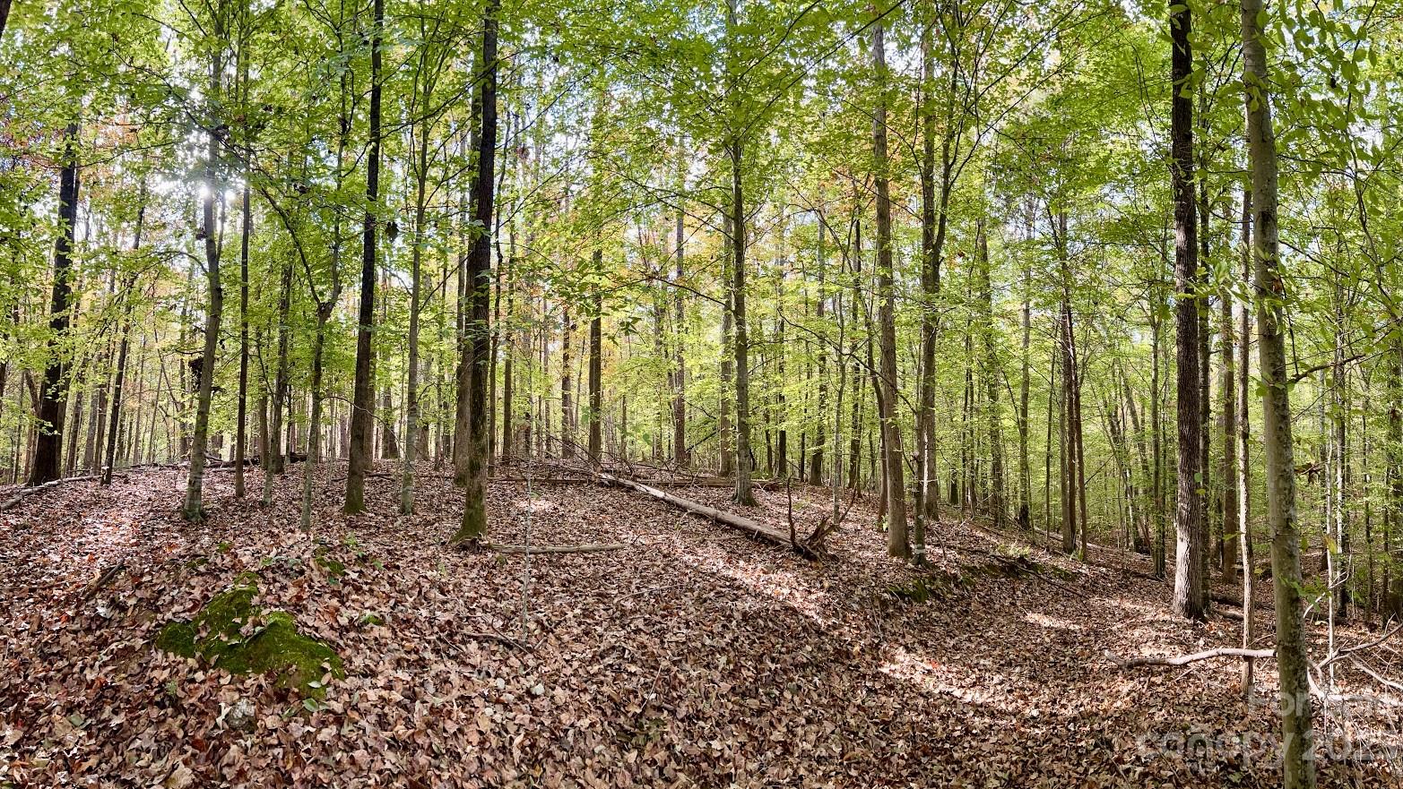 Three Lakes Preserve - Land