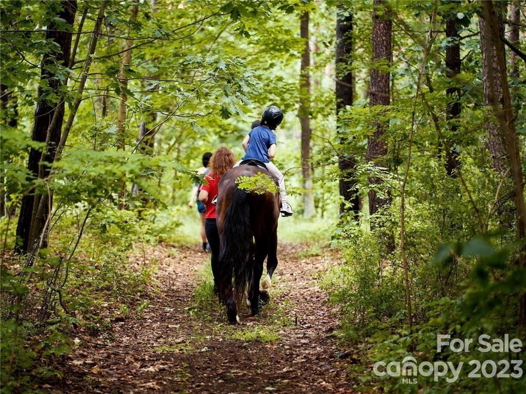 Three Lakes Preserve - Land