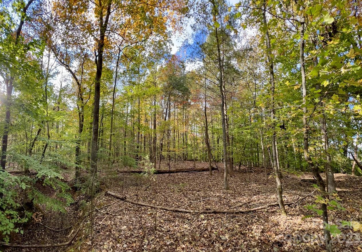 Three Lakes Preserve - Land