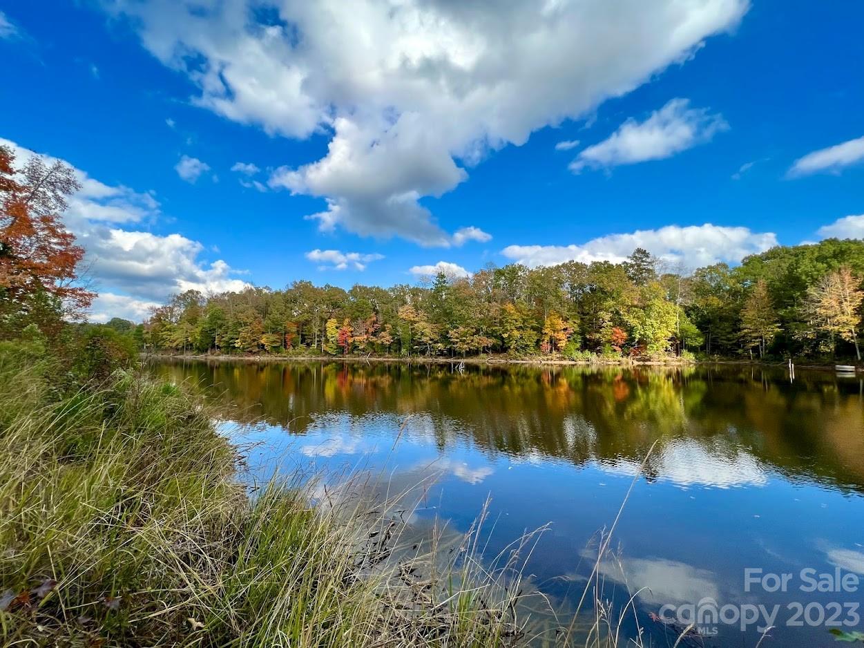 Three Lakes Preserve - Land