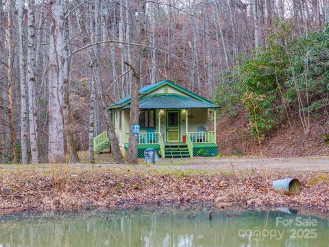 A home in Bryson City