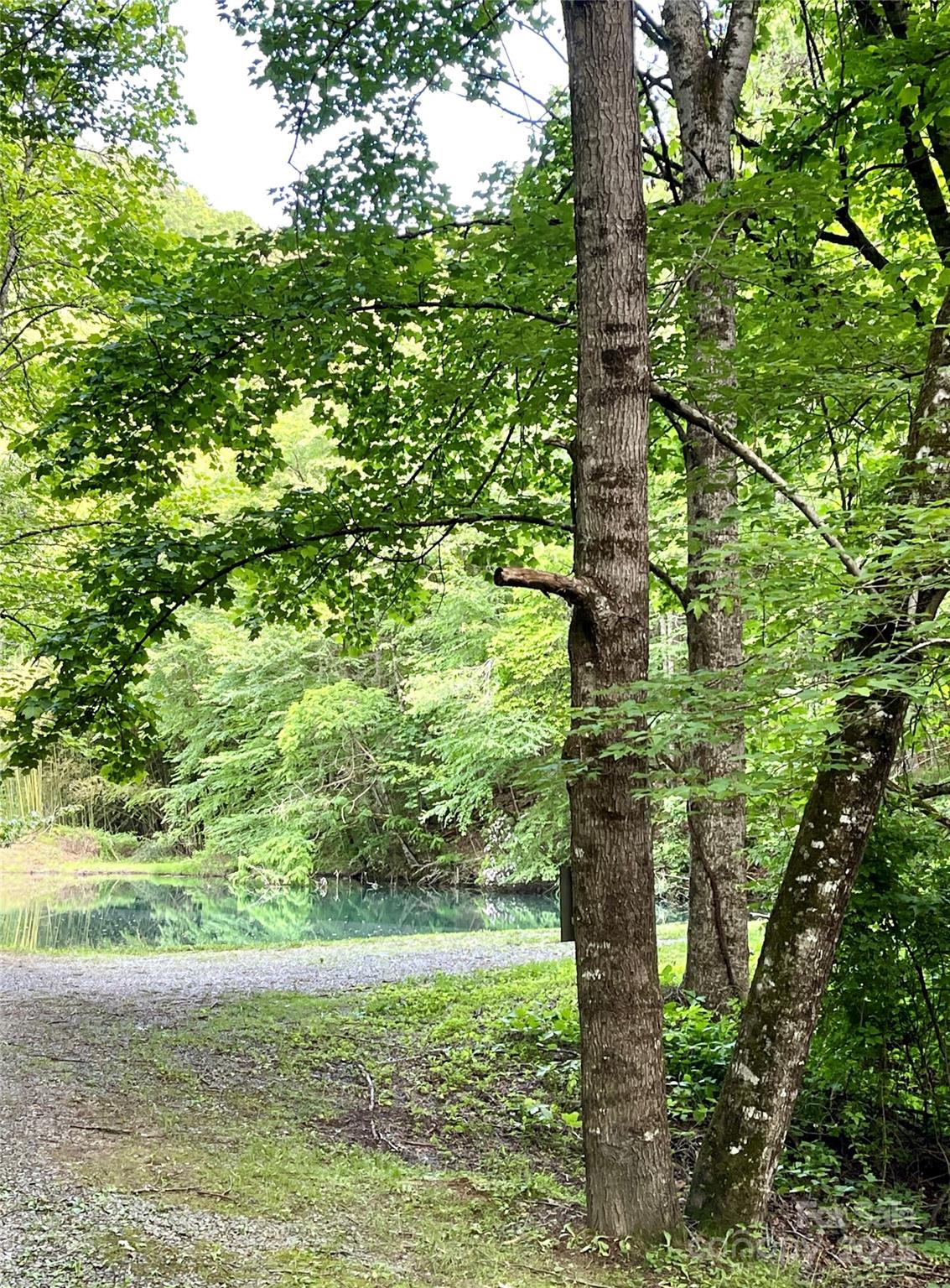 Village Preserve at Nantahala Village - Residential