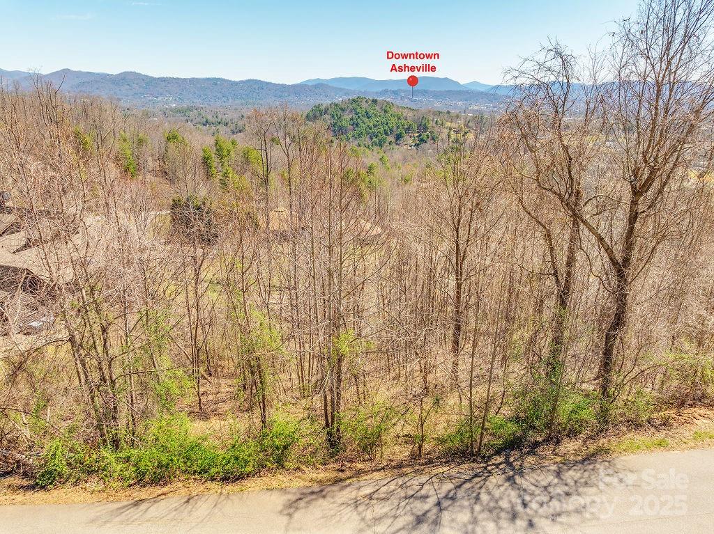 61 Ben Lippen School Road