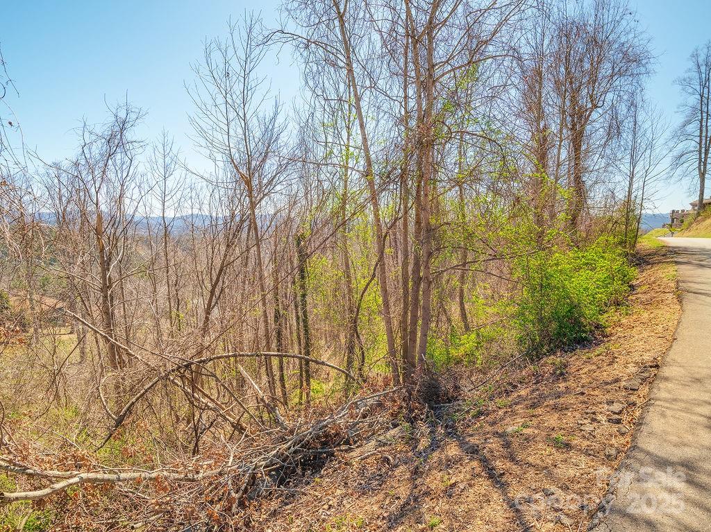 61 Ben Lippen School Road