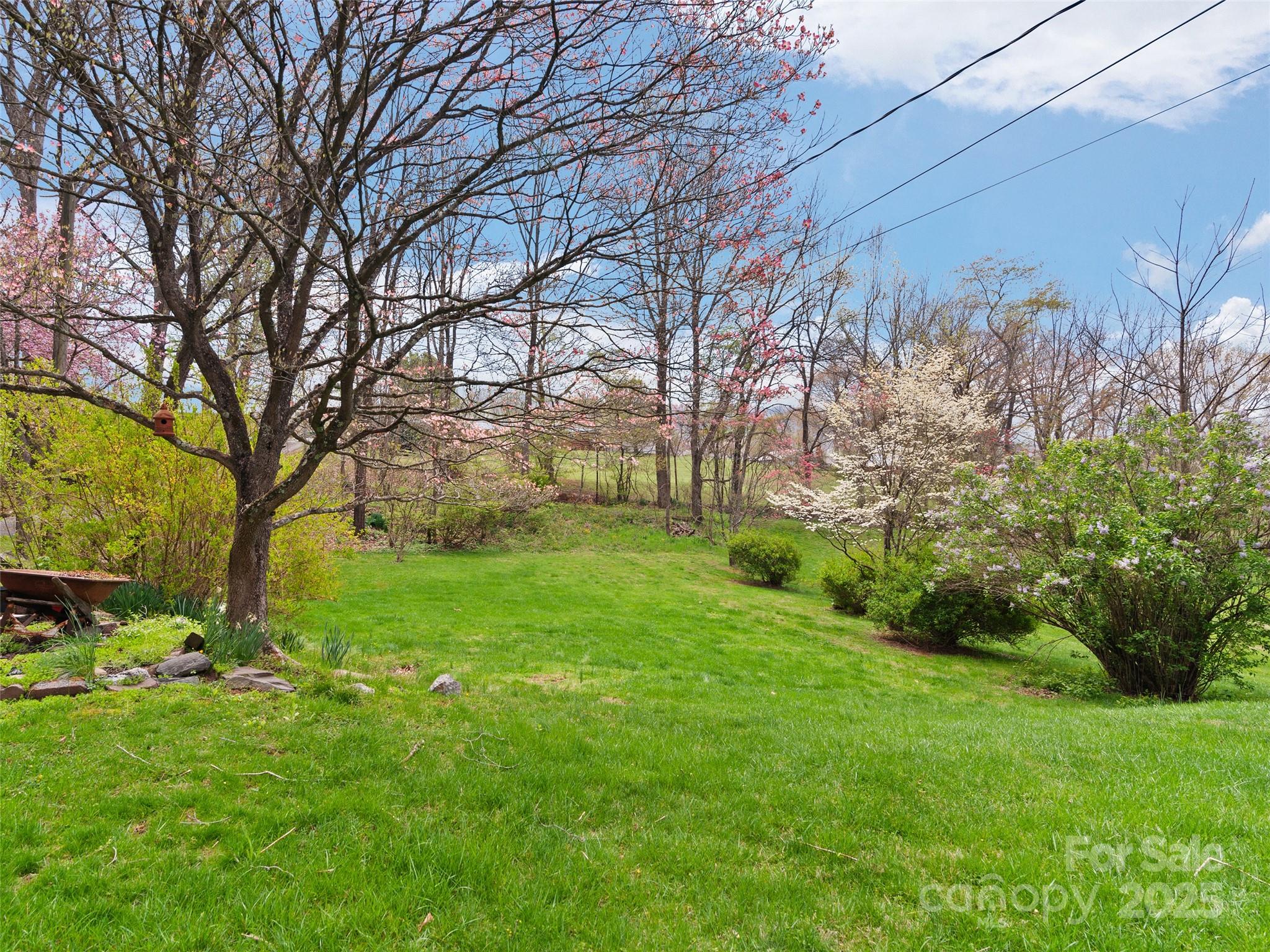 388 Ellen Avenue