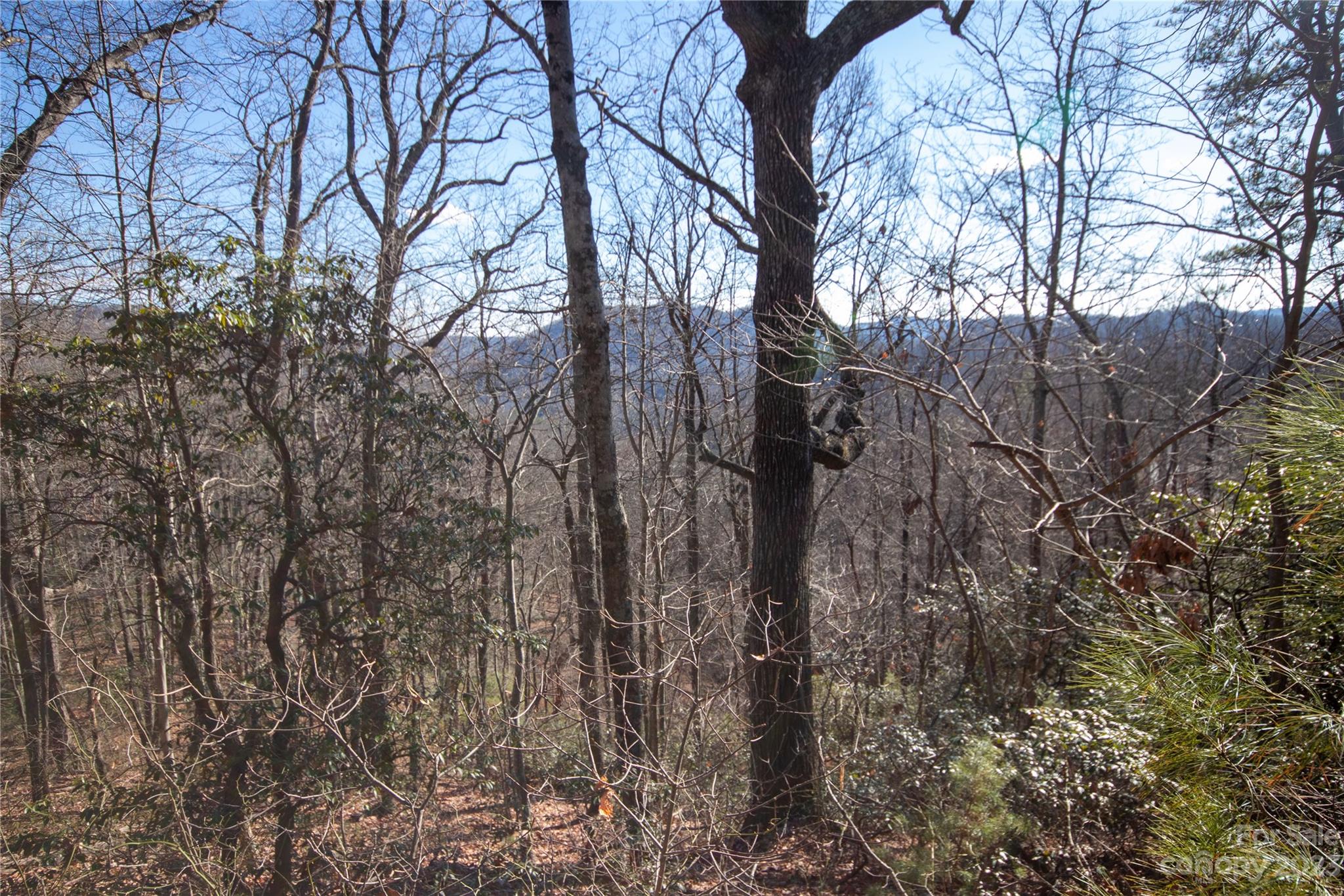 Lot# 502 Fire Crest Lane 502