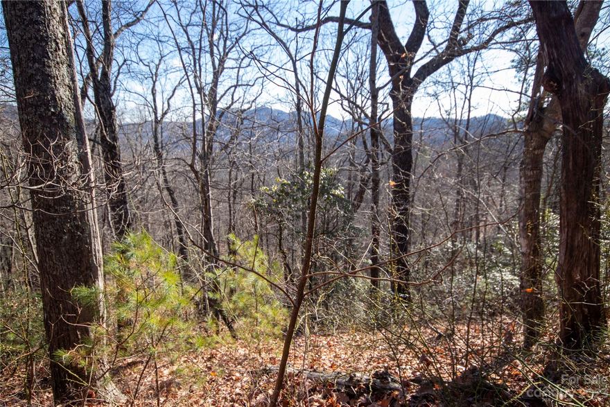 NEW PRICE + MULTI-LAYERED MOUNTAIN VIEWS FROM THIS LOT! This property, nestled in the Western NC mountains is only 10 minutes from Blowing Rock and less than 15 minutes from the Blue Ridge Parkway. Located just off of US Hwy 321 and within the gated community of Timber Rock, this lot provides a 6.28 Acre homesite that can be accessed via two roads. Once cleared, this lot would provide multi-layered mountain views. Elevation ranges from 2000 to 2350 and affords the nice Summer temps without the Blowing Rock price!! Amenities include a gorgeous outdoor pavilion with rock fireplace, kitchen, grilling area, picnic area by the Yadkin River, restrooms and plenty of space to host the perfect outdoor event! This is your opportunity to own and build your beautiful mountain home or weekend getaway!
