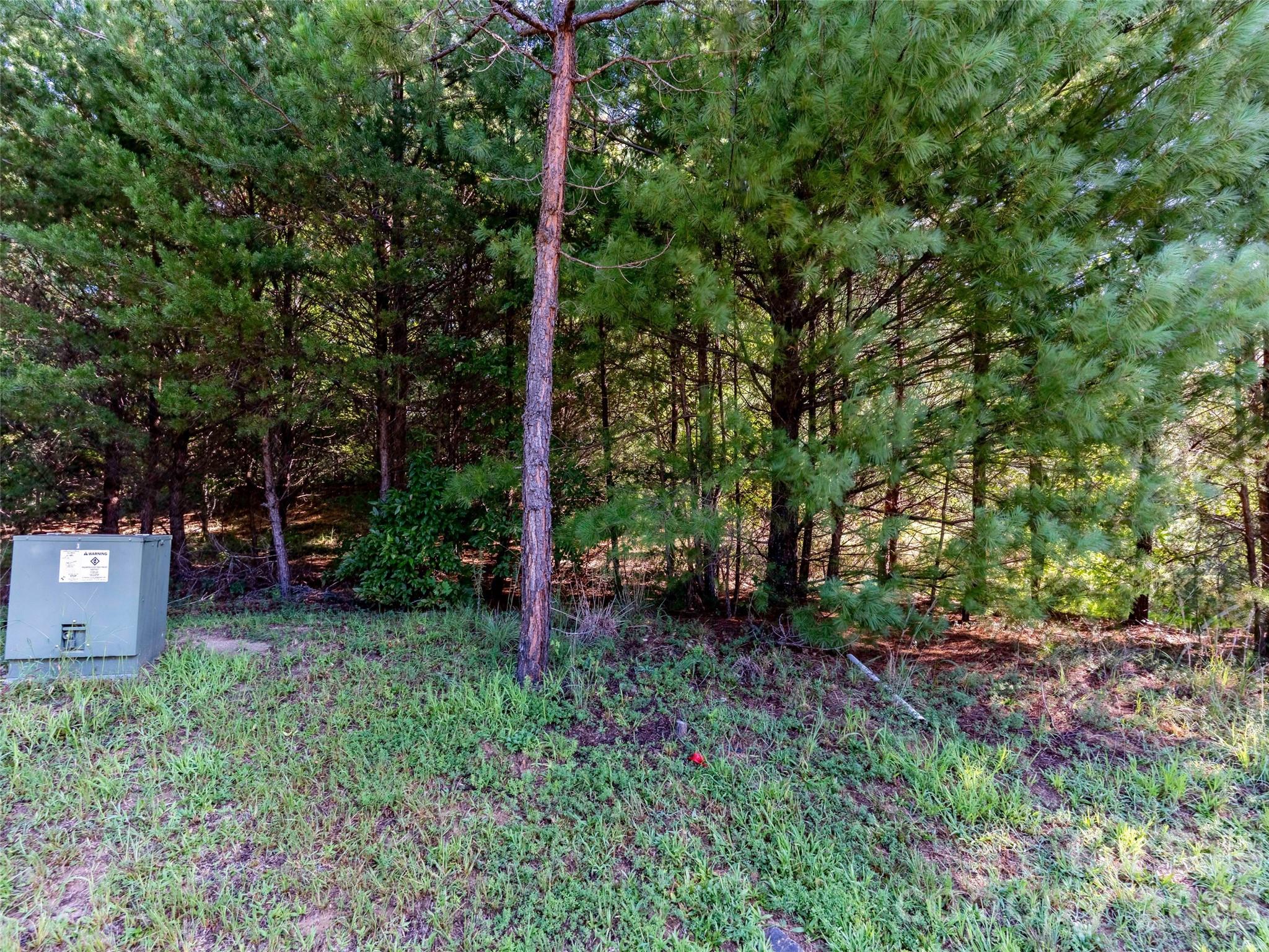 0 Elkton Court W 138