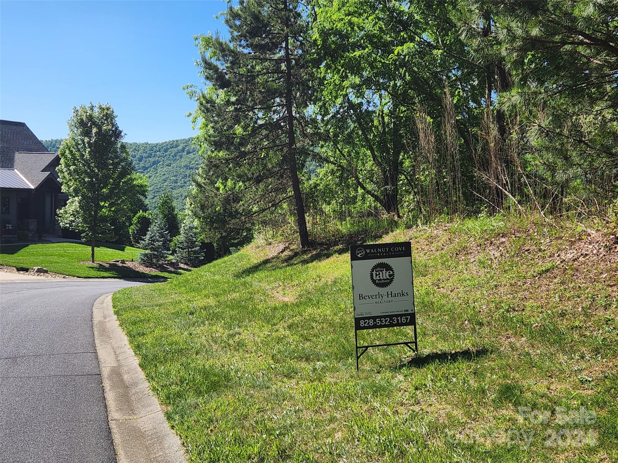 Homestead at Mills River - Land