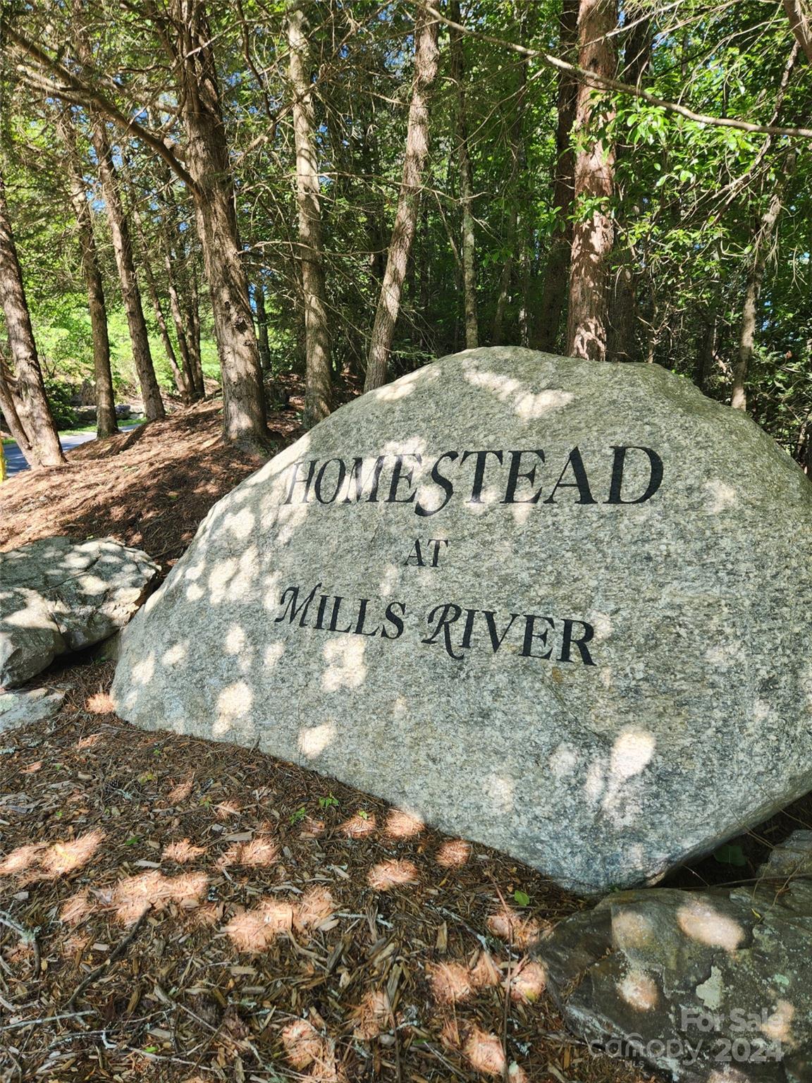 Homestead at Mills River - Land