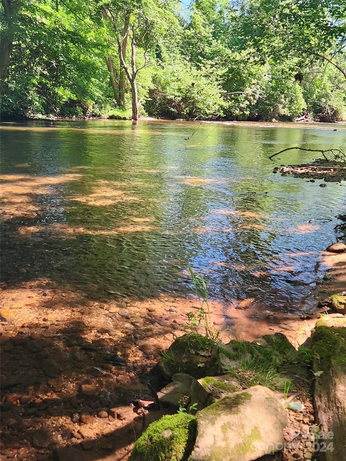 Homestead at Mills River - Land