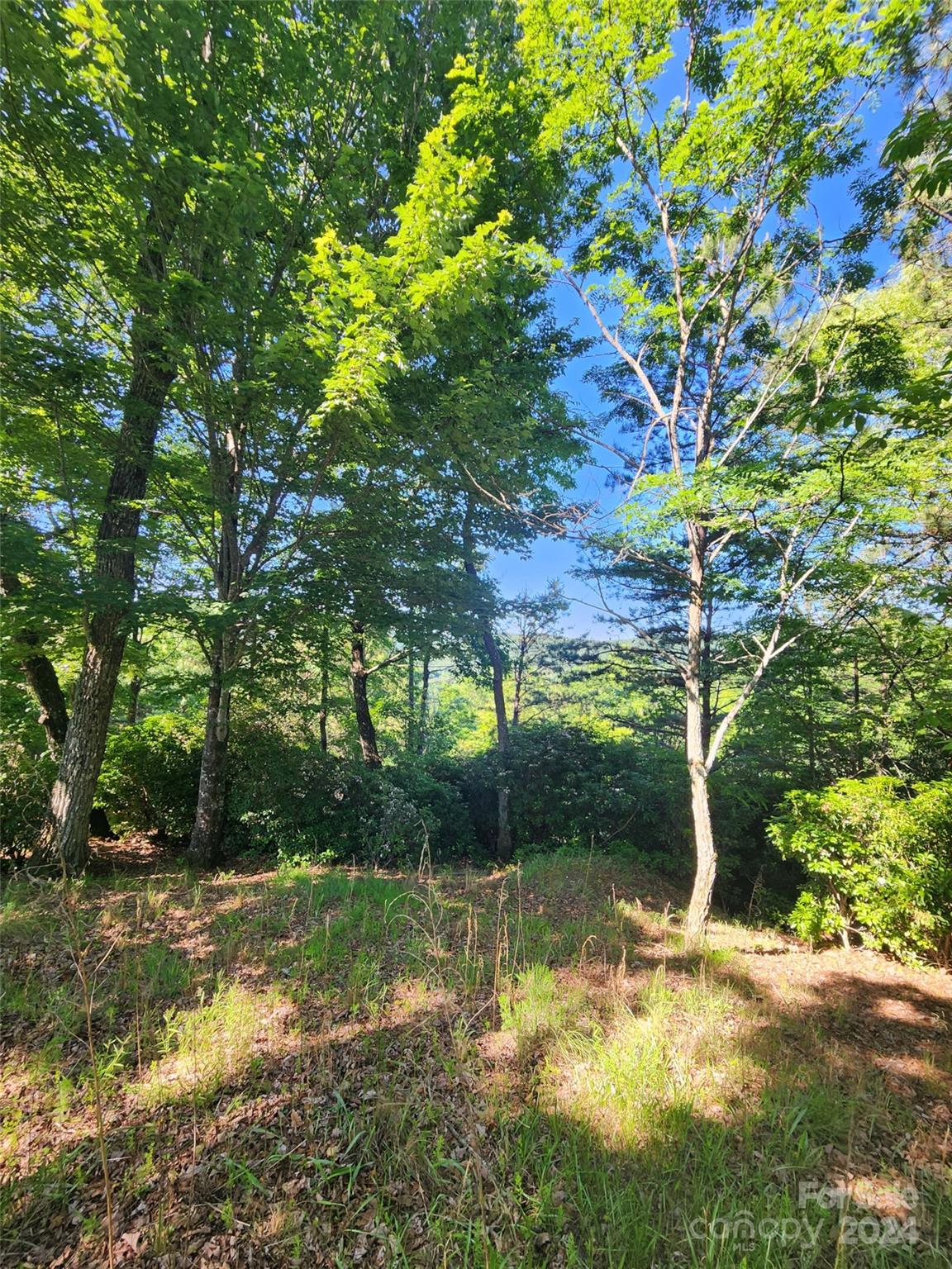 Homestead at Mills River - Land